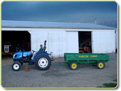 Carlton Farm tractor and wagon